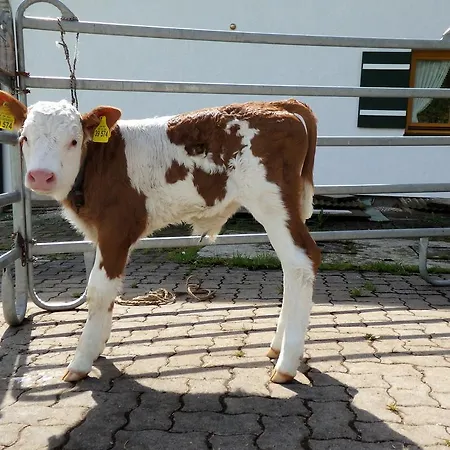 公寓 罗腾勒恩公寓